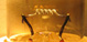 Electricity: Independent power producers, supply industry, free basic electricity... 