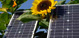 Renewable & Alternative Fuels: Includes hydropower, solar, wind, biomass...