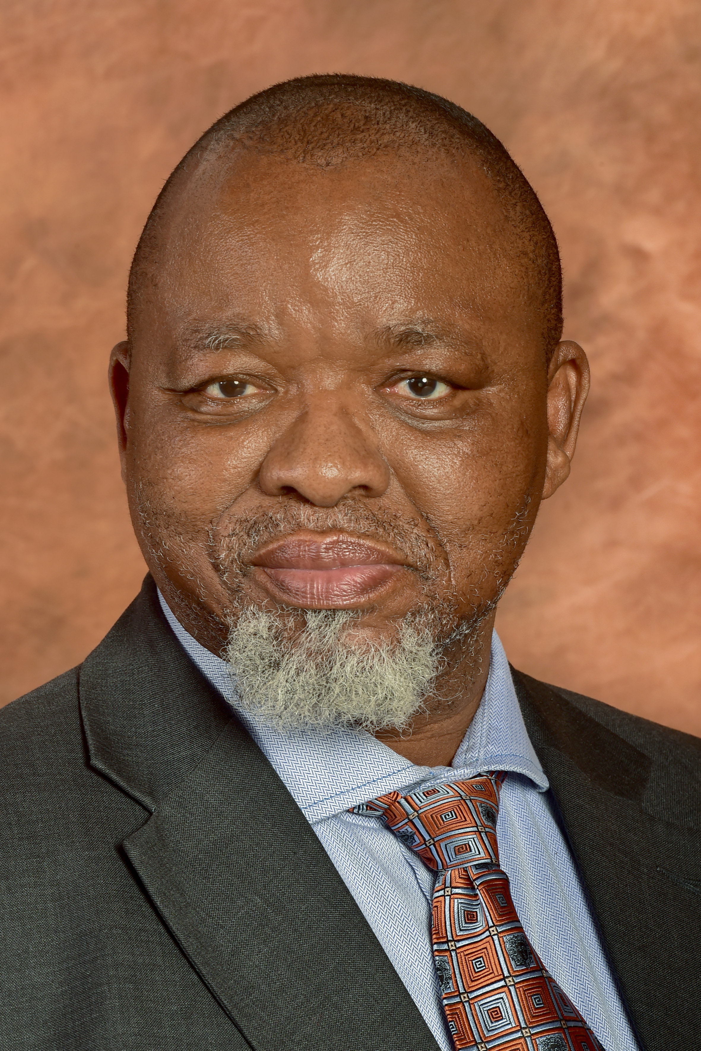 Minister Gwede Mantashe